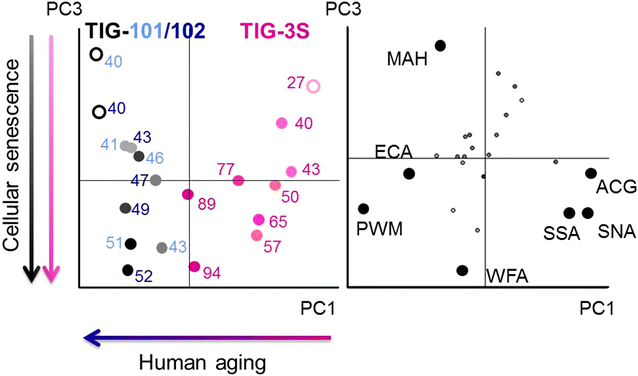 Fig. 5