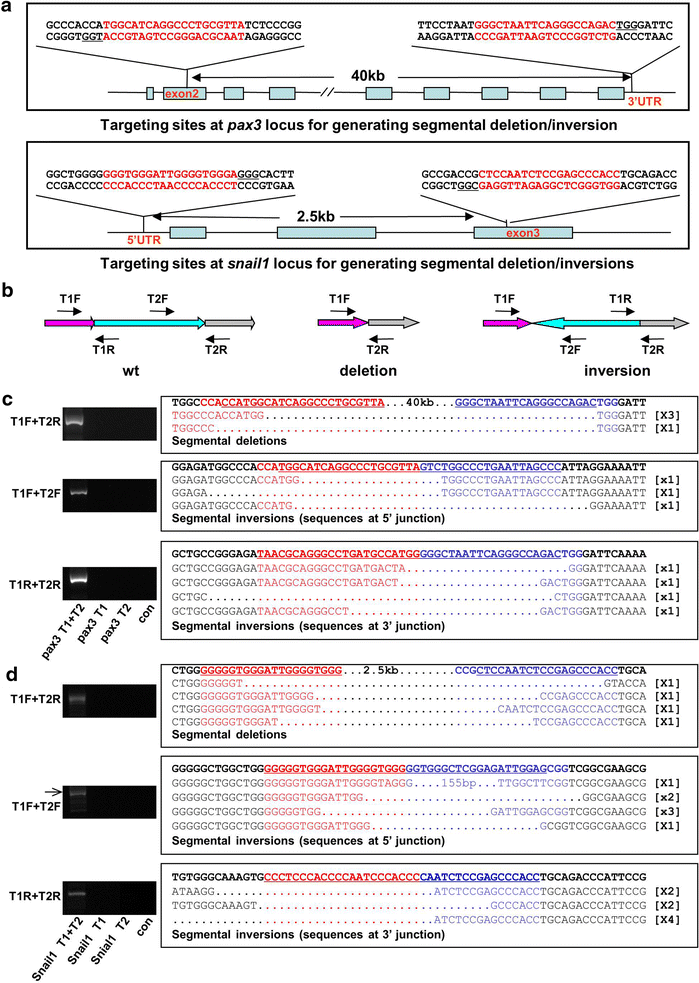 Fig. 3