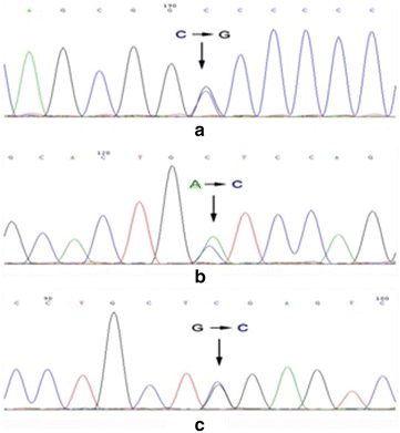 Fig. 2