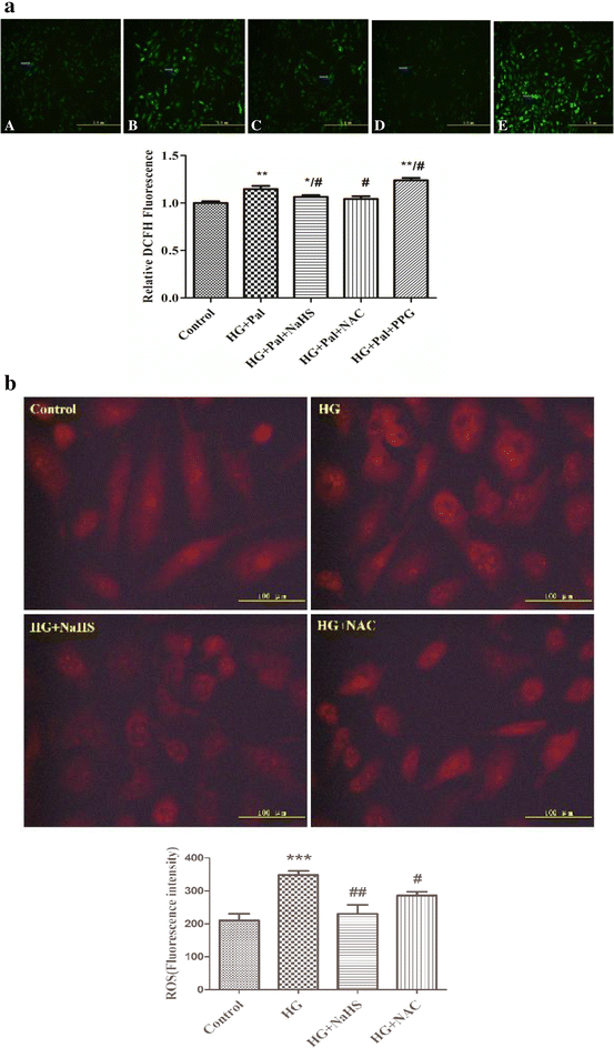 Fig. 4