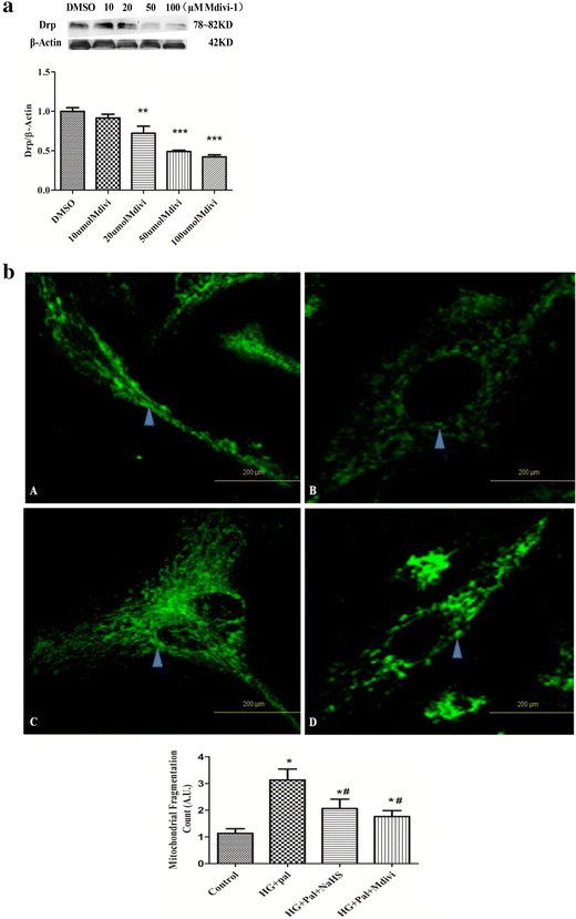 Fig. 9