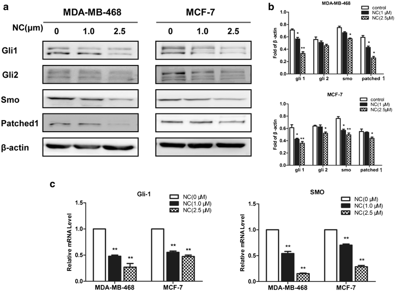 Fig. 4