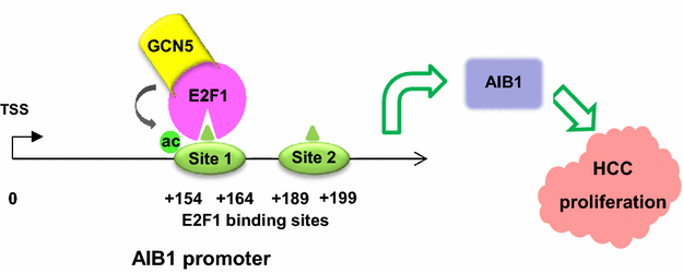 Fig. 7