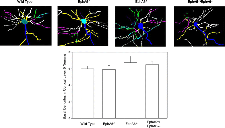 Fig. 7