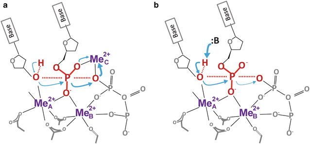 Fig. 2