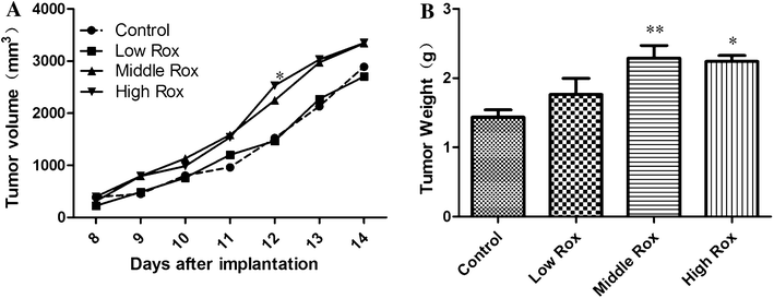 Fig. 6