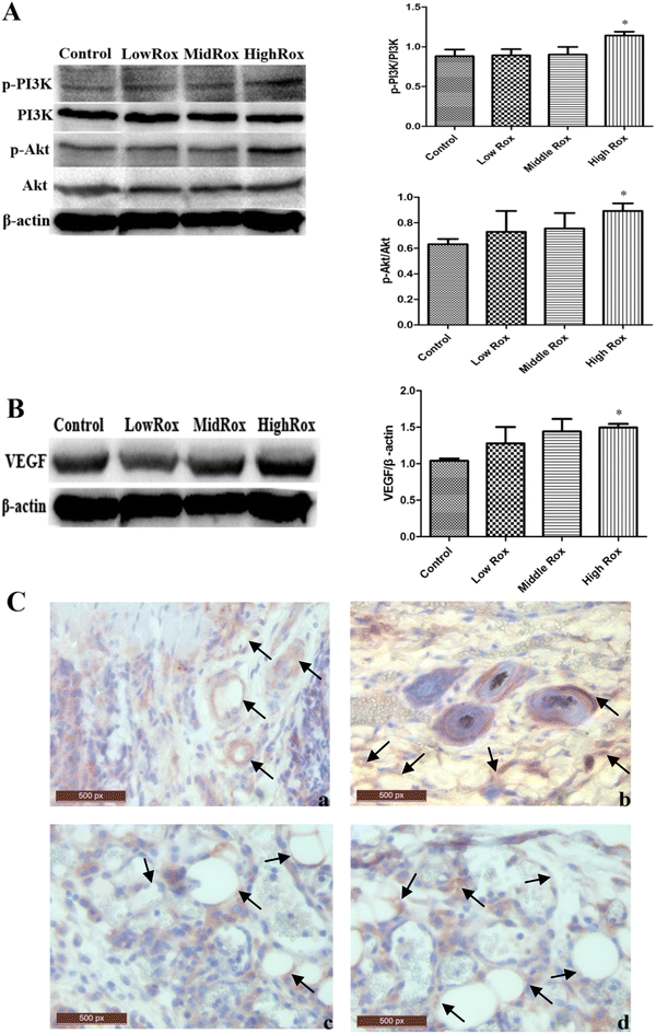 Fig. 8