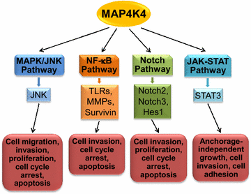 Fig. 2