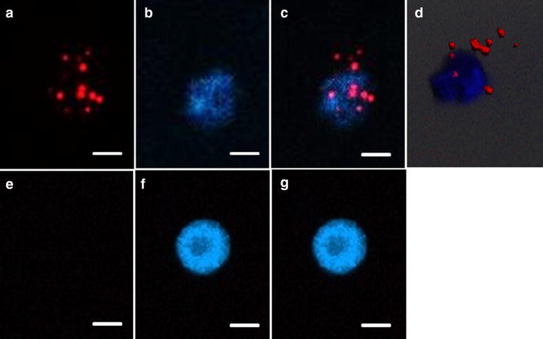 Fig. 3