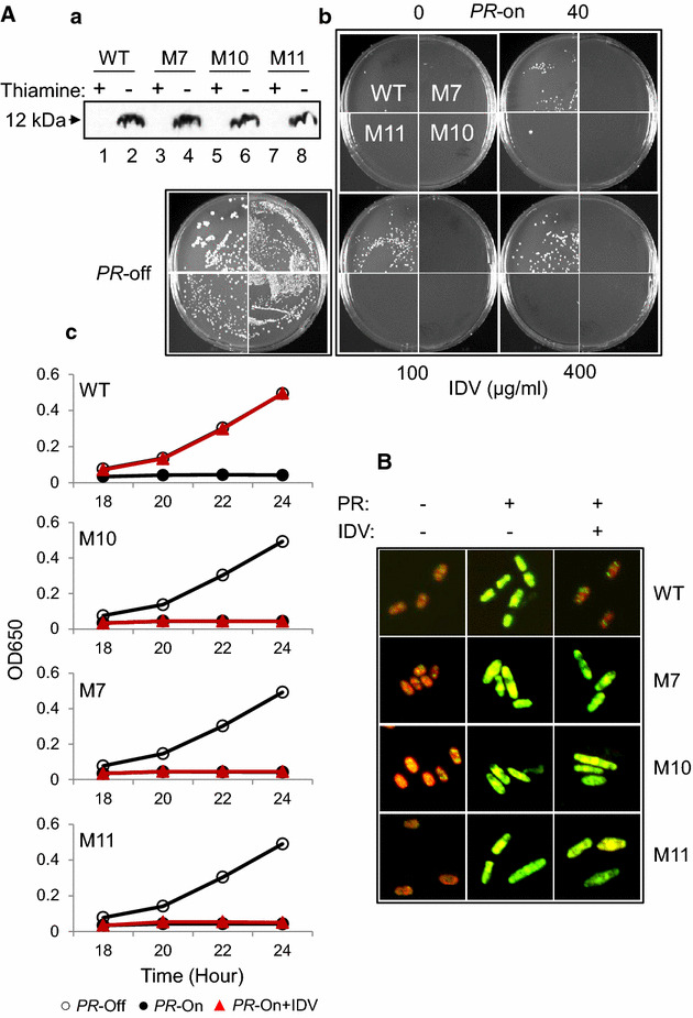 Fig. 2