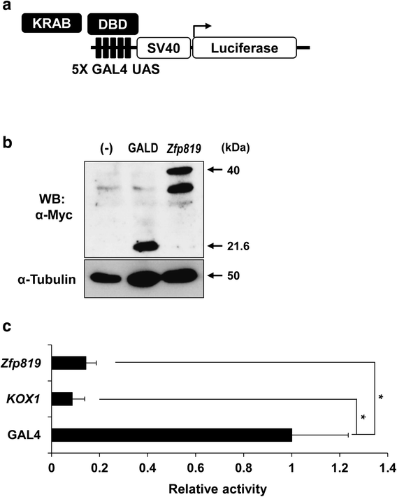 Fig. 1