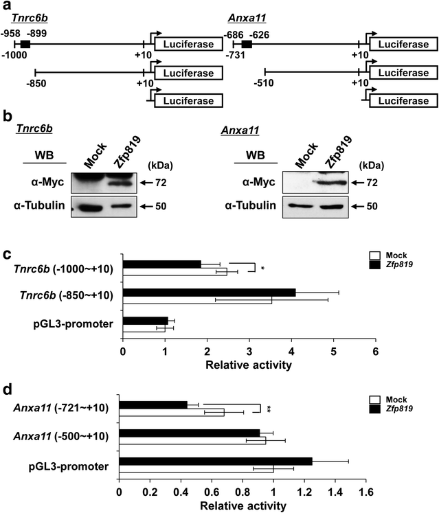 Fig. 6