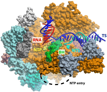 Fig. 1