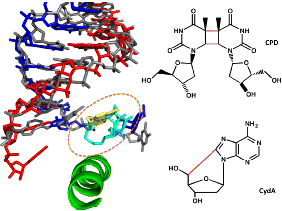 Fig. 3