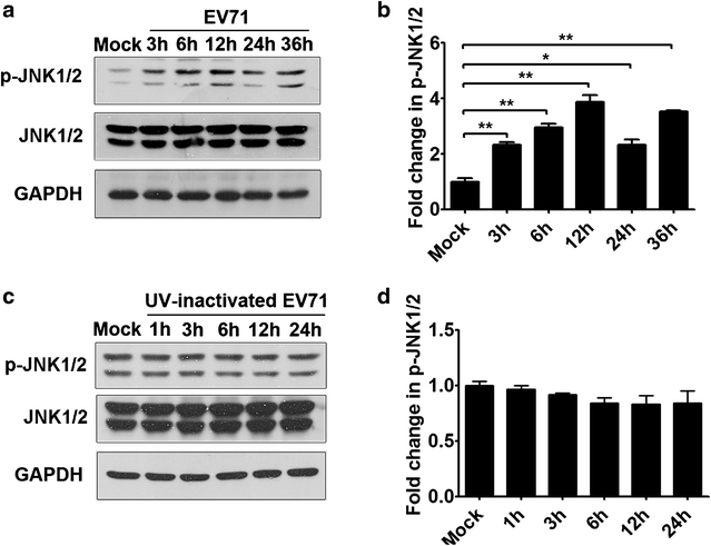 Fig. 7