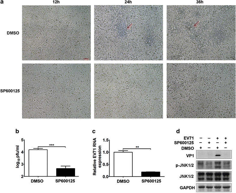 Fig. 8