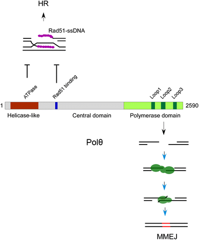 Fig. 3