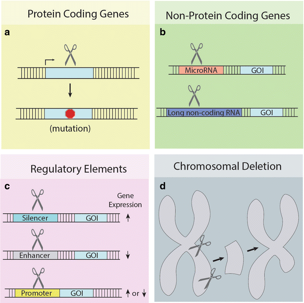 Fig. 3