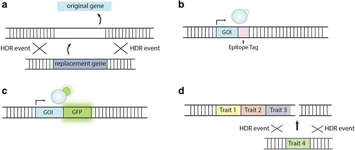 Fig. 5