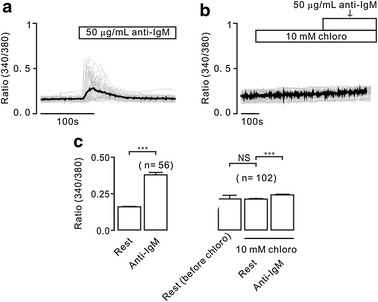 Fig. 6