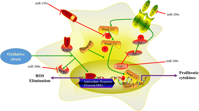 Fig. 8