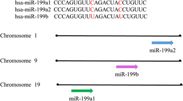 Fig. 9