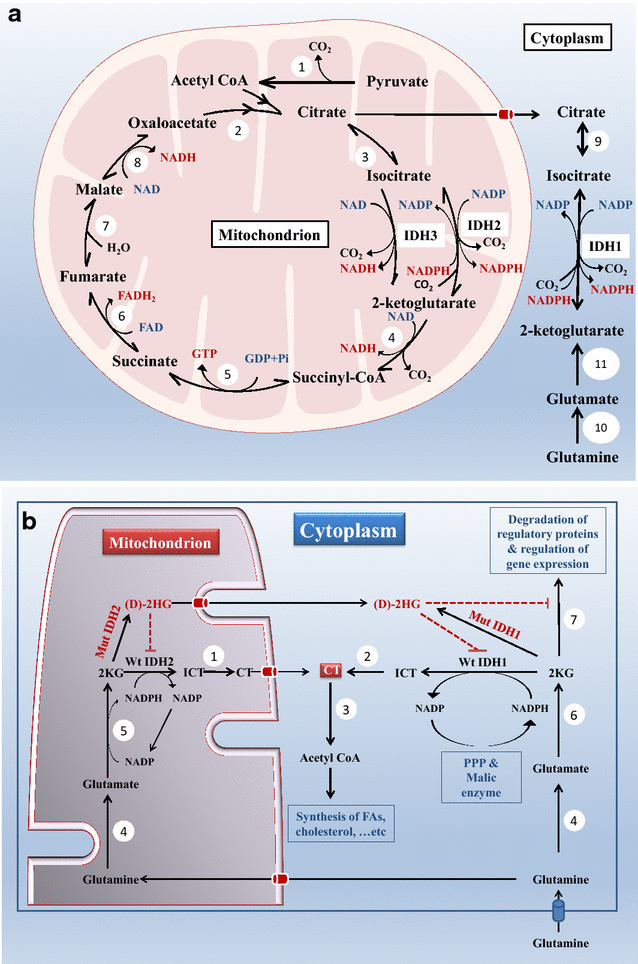 Fig. 1