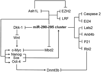 Fig. 8