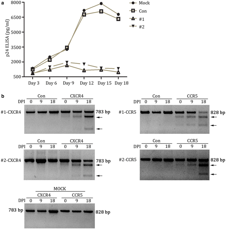 Fig. 4