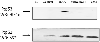 Fig. 6