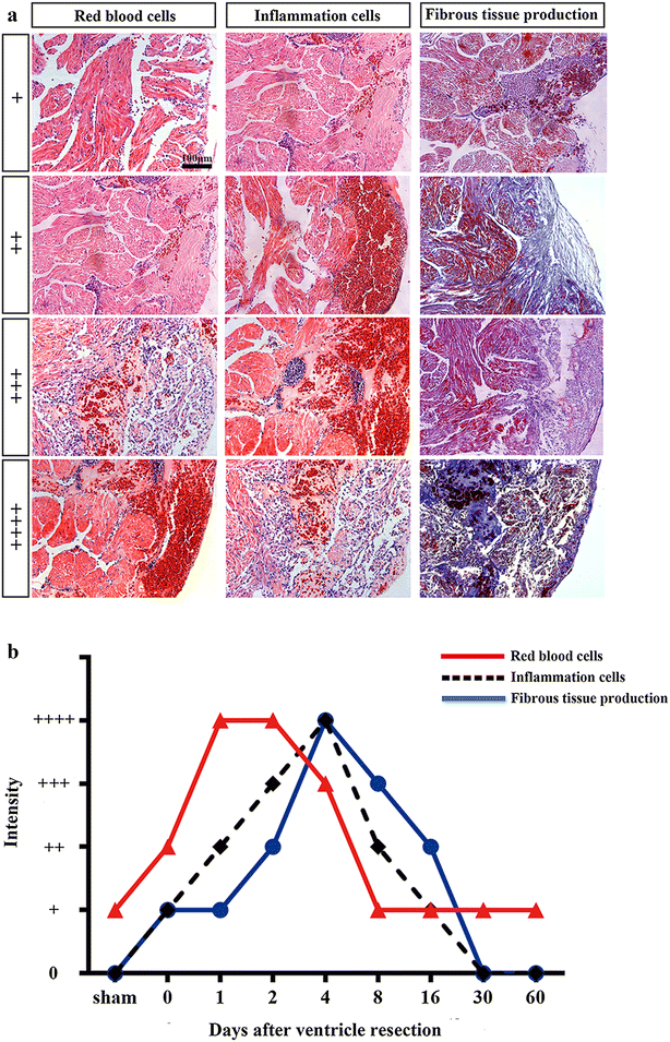 Fig. 8