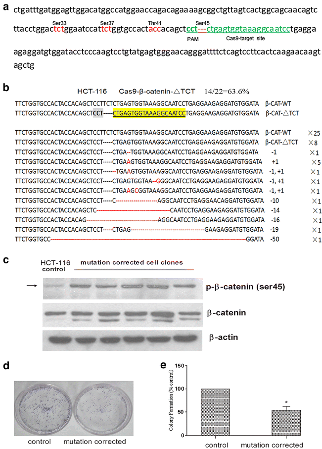 Fig. 6