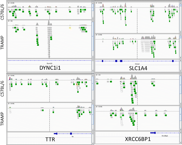 Fig. 3