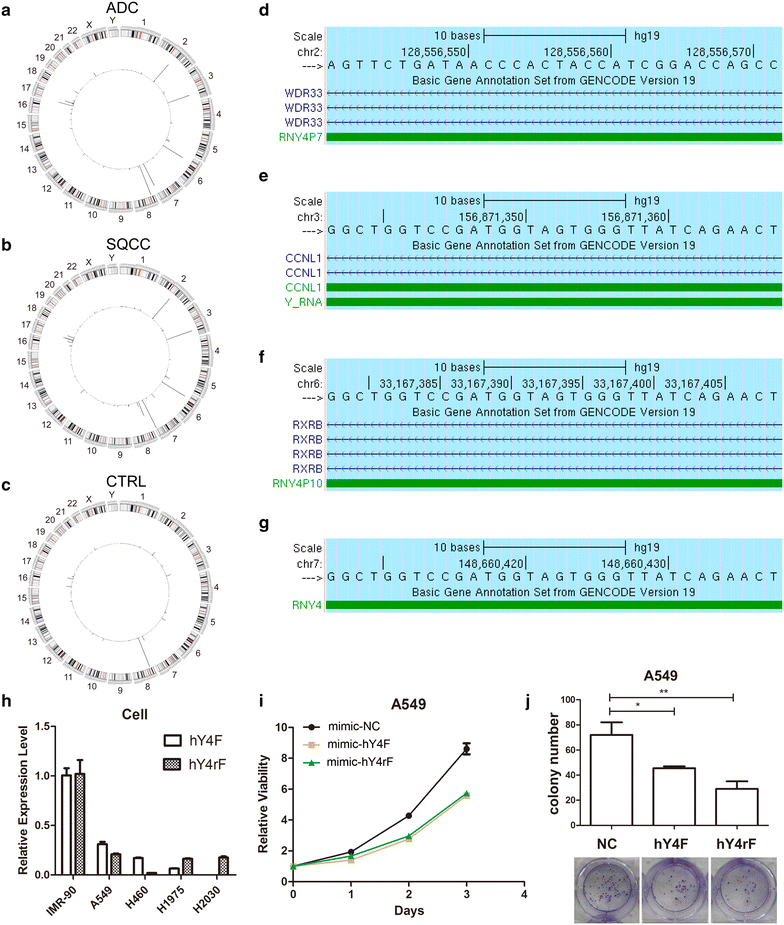 Fig. 4