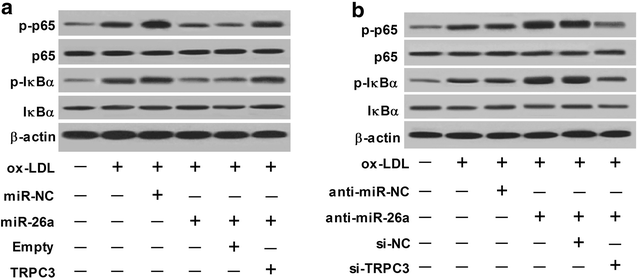 Fig. 7