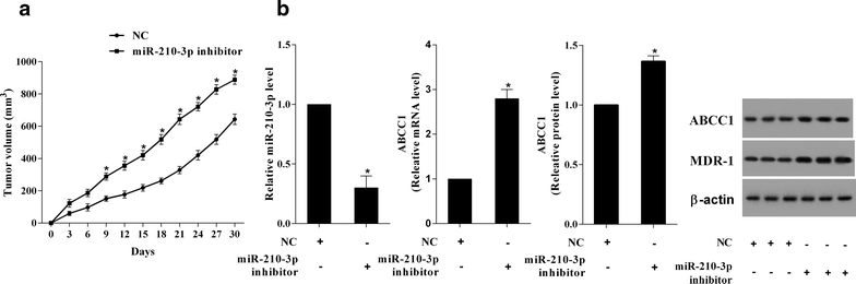 Fig. 7