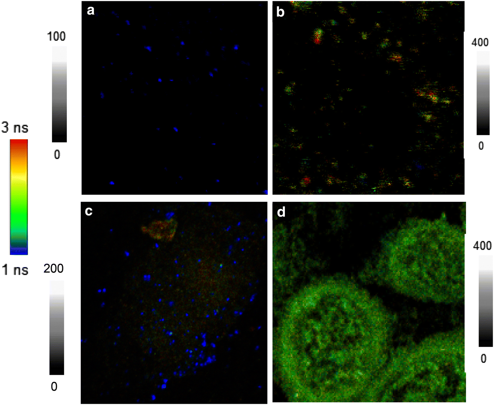 Fig. 3