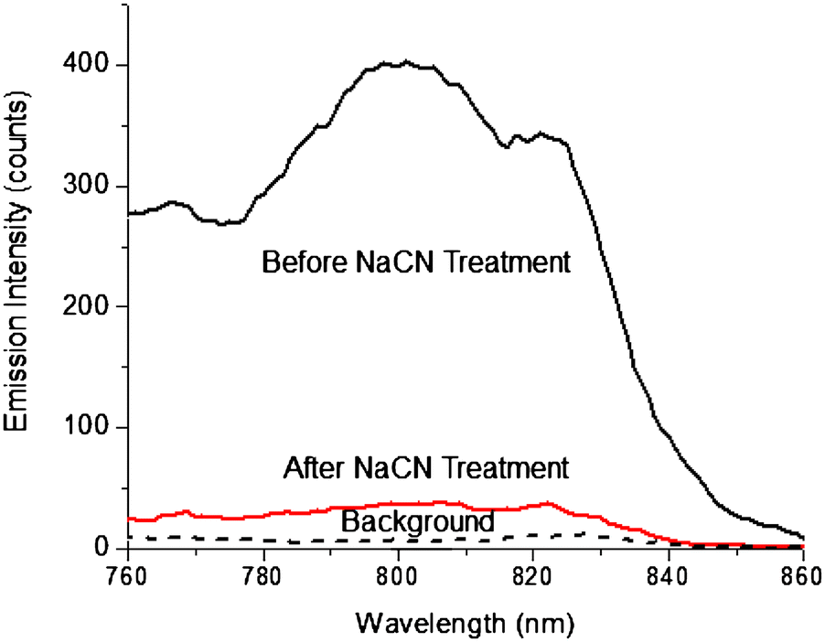 Fig. 7