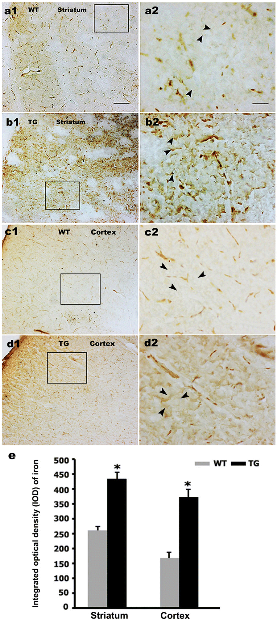 Fig. 1