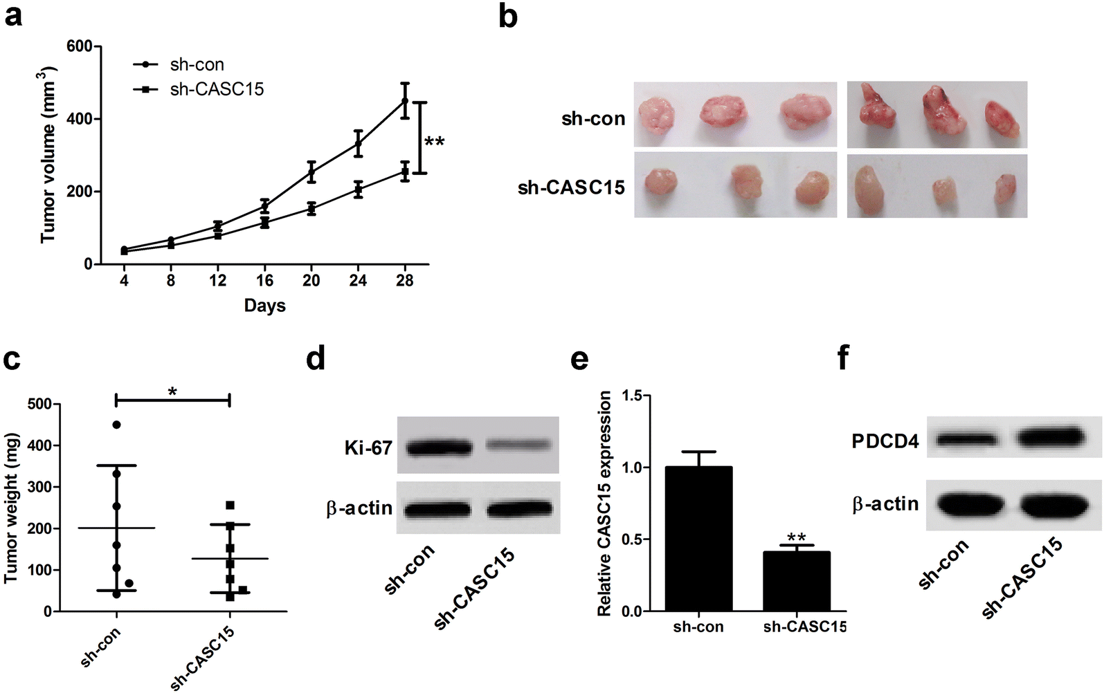 Fig. 7