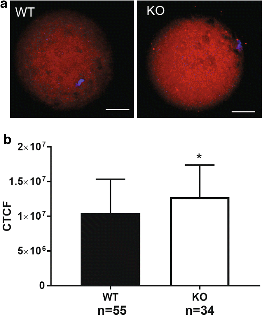 Fig. 7