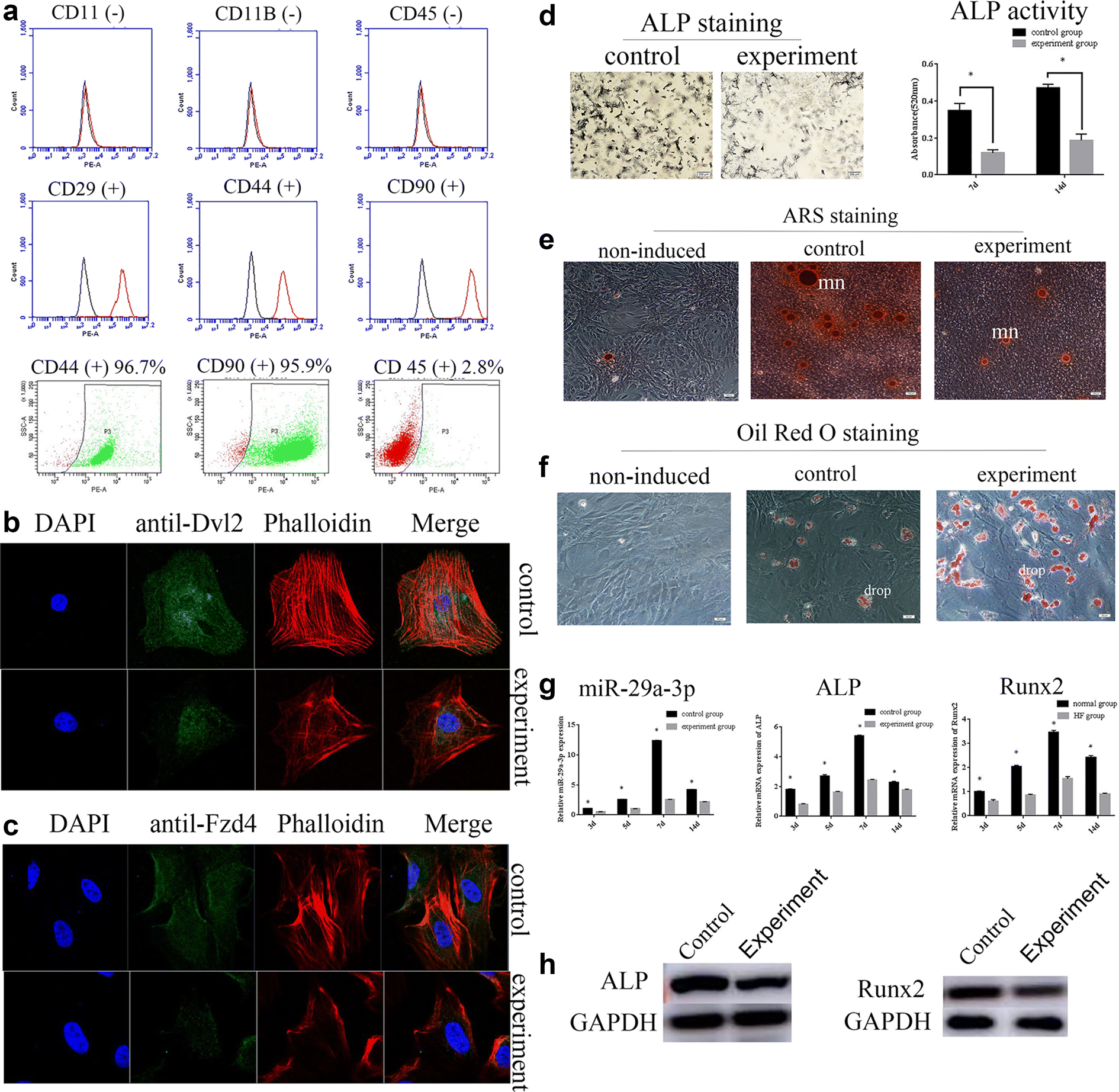 Fig. 3