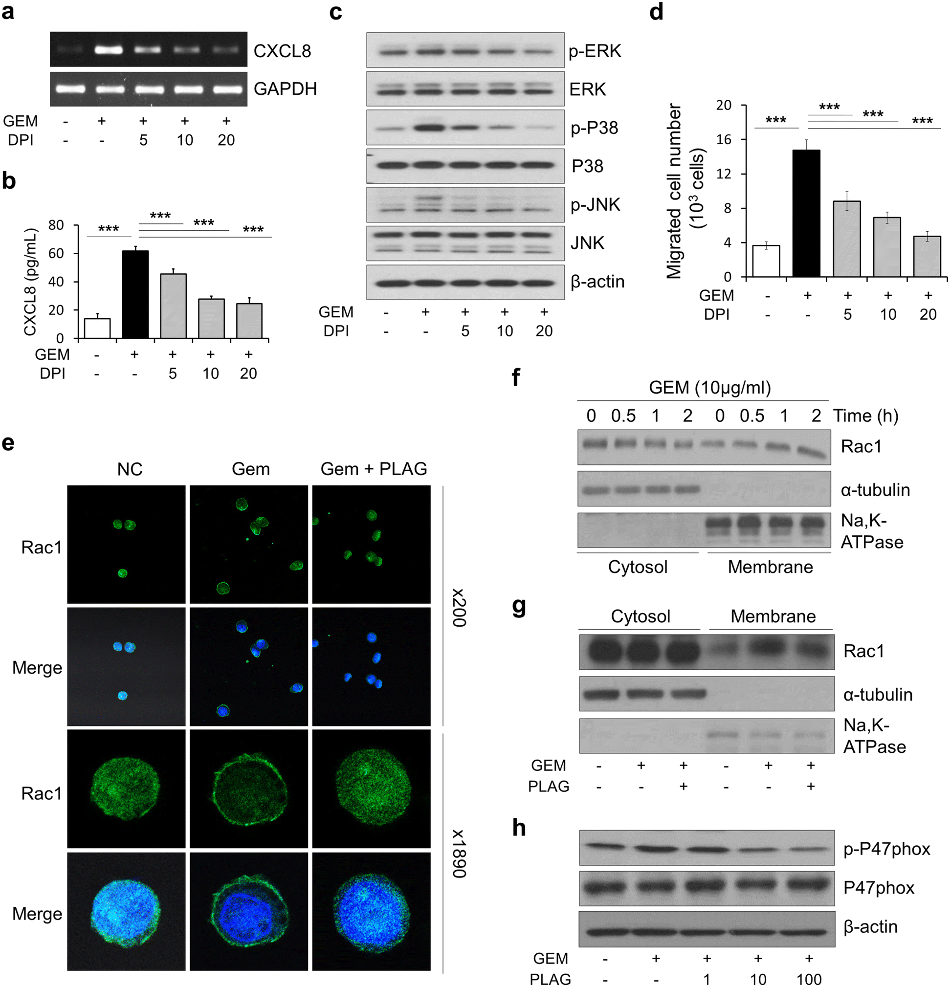 Fig. 4