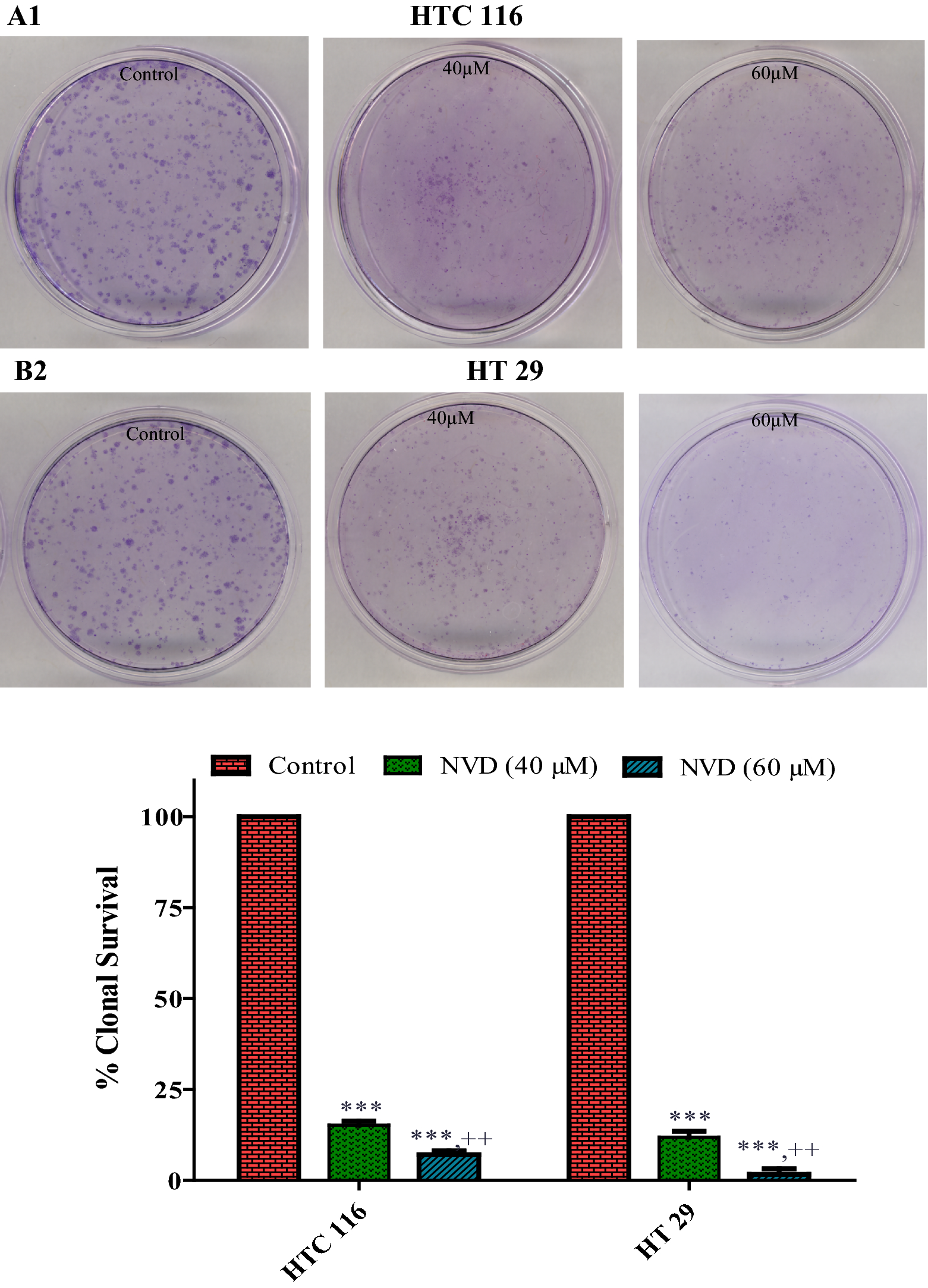 Fig. 2