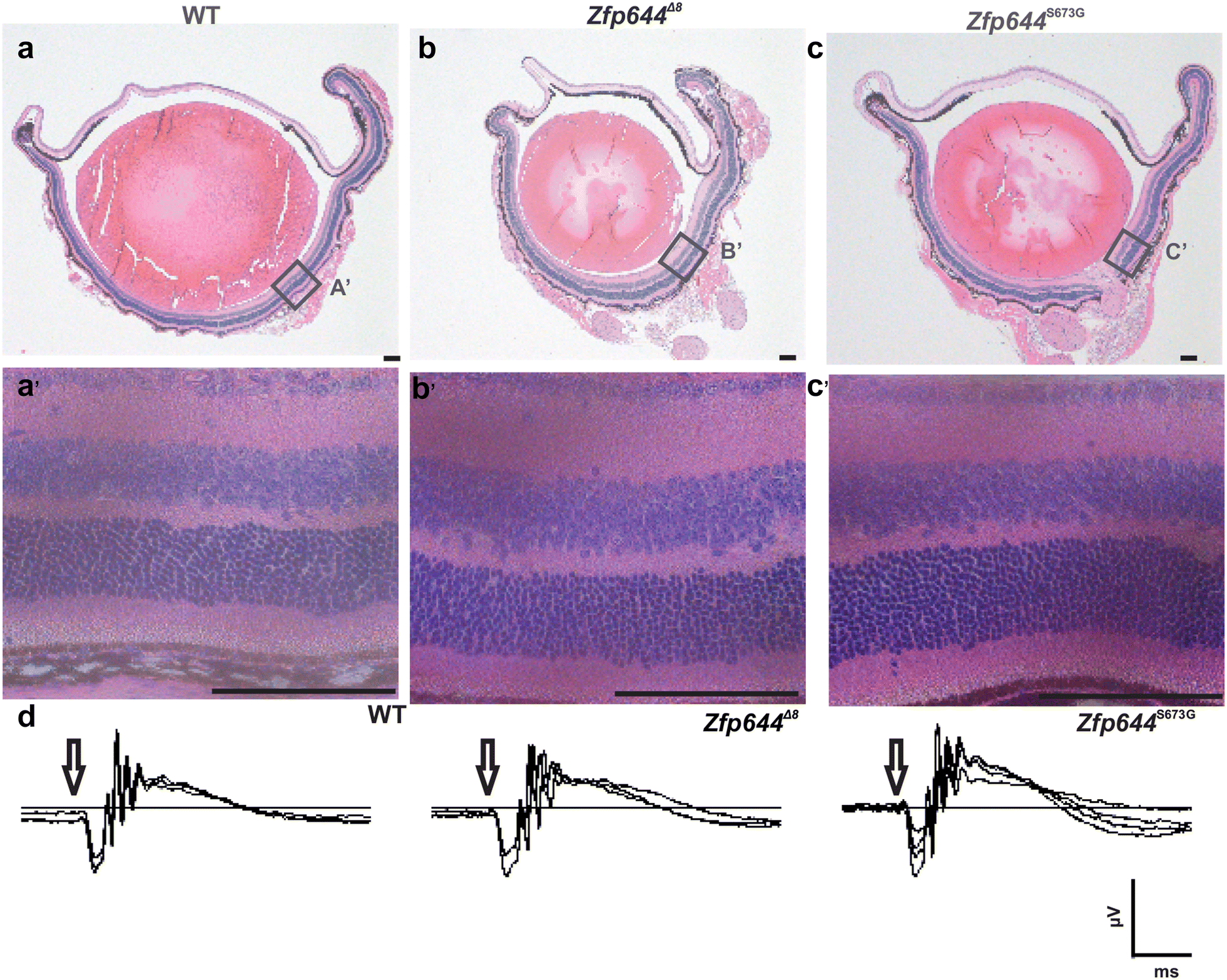 Fig. 4