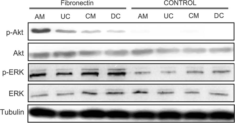 Fig. 7