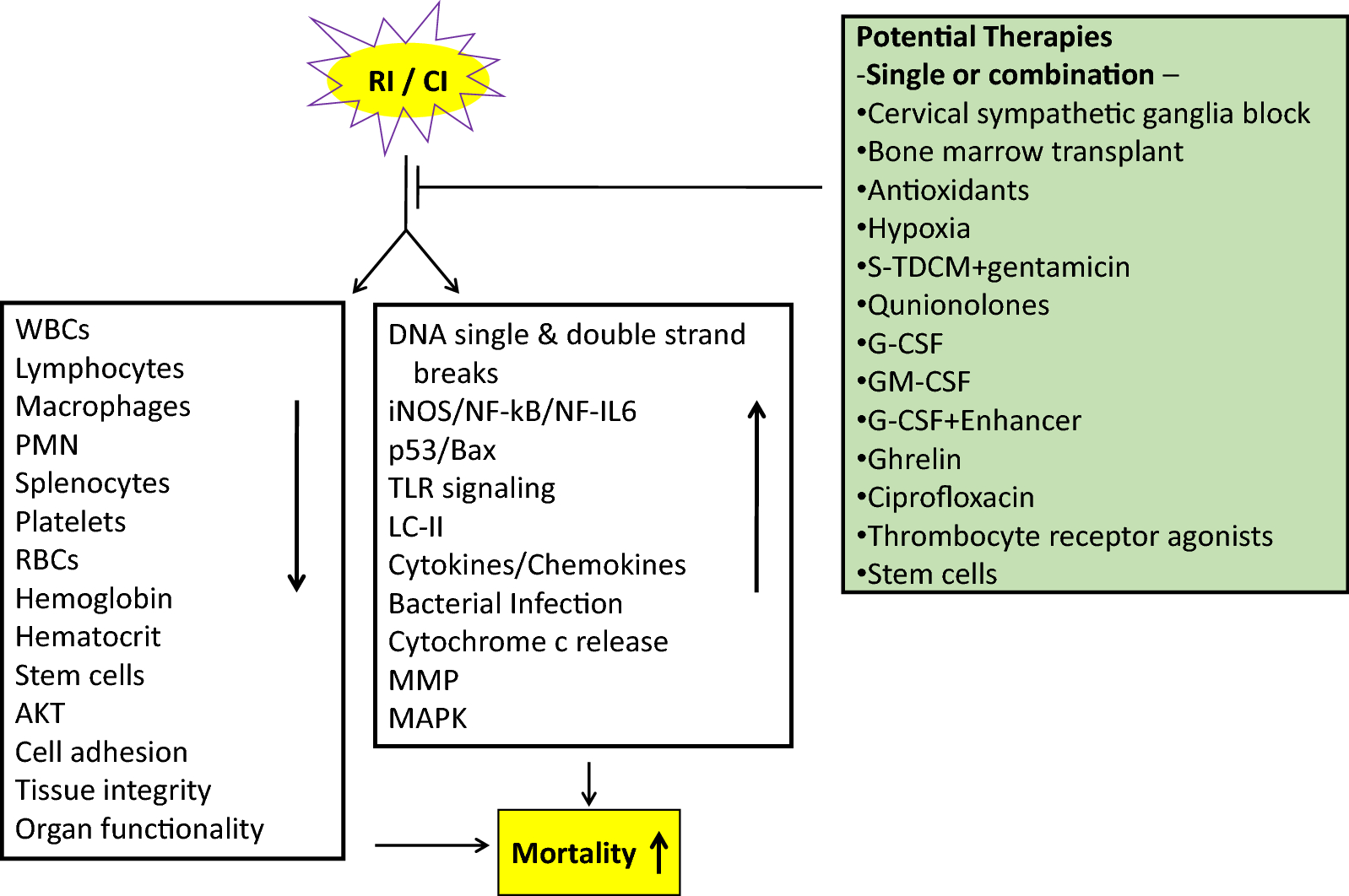 Fig. 4