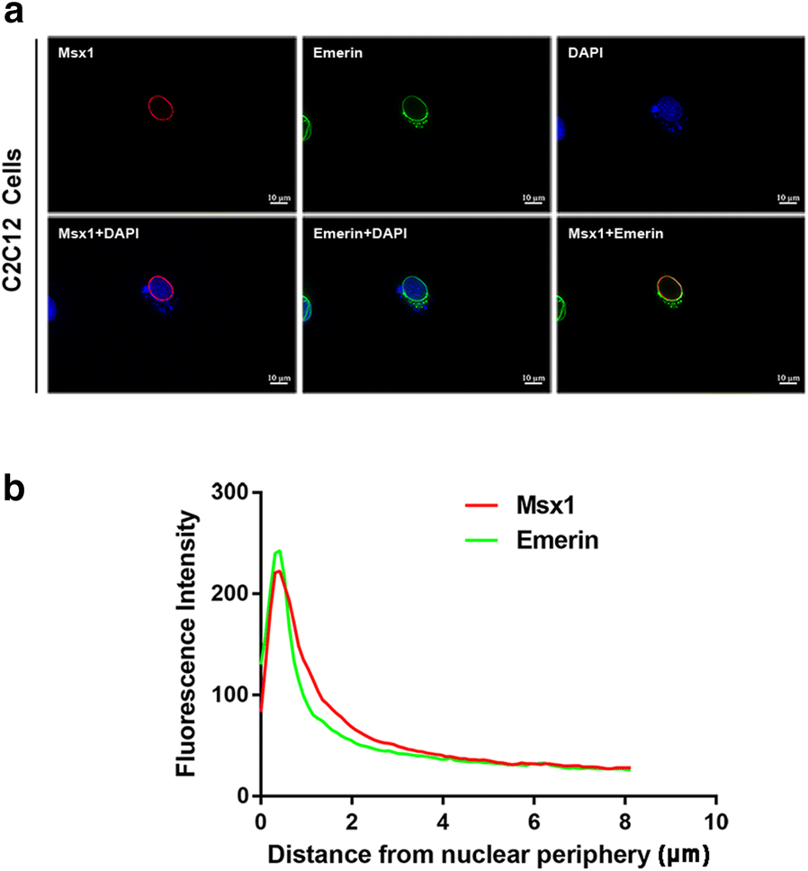 Fig. 3