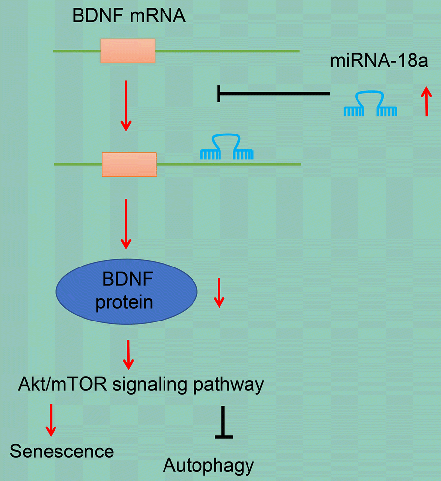 Fig. 7