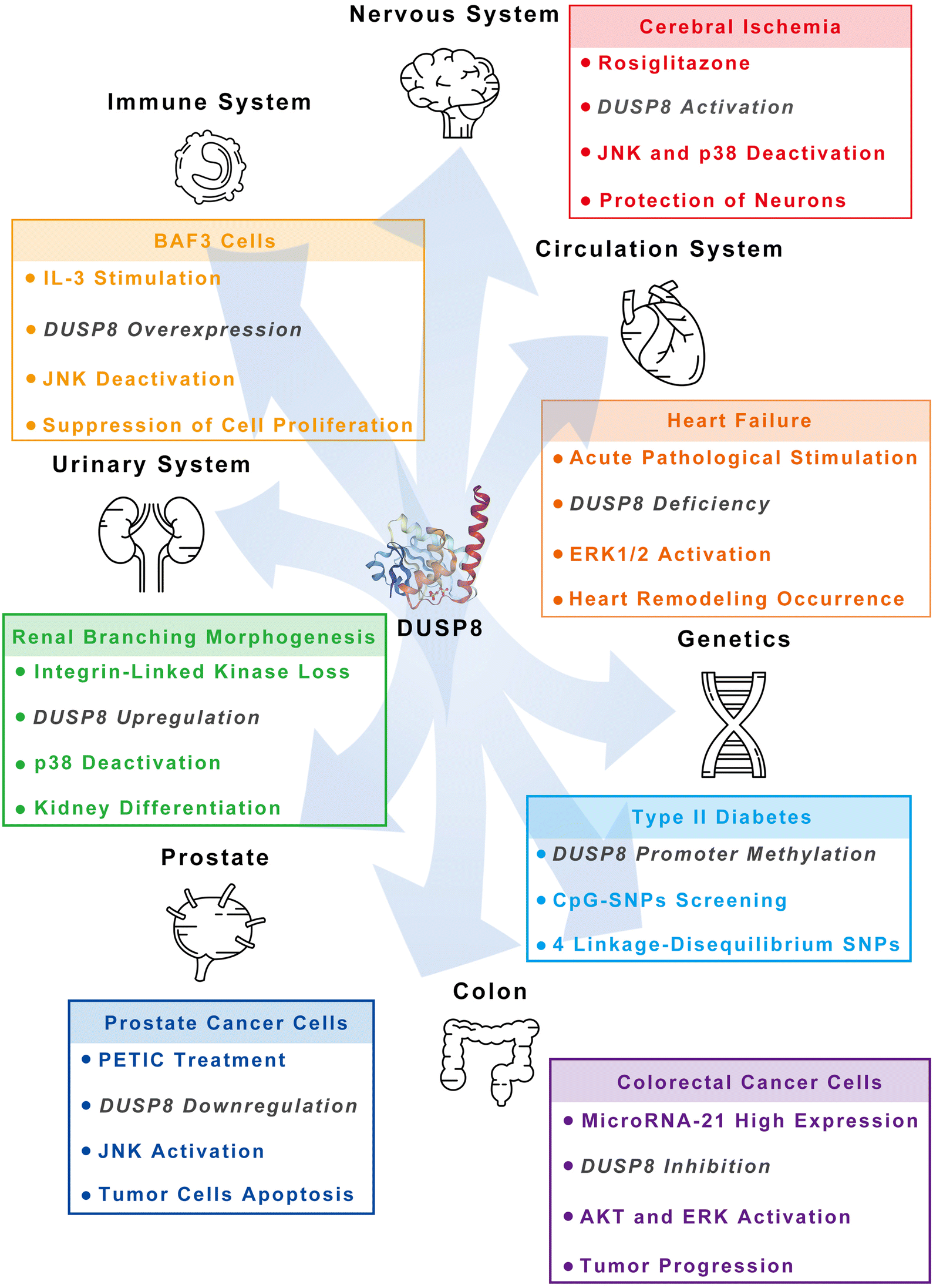 Fig. 5